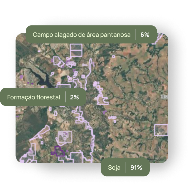 Vista da Terra do espaço mostrando a abrangência da base de dados