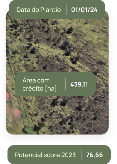 Diagnóstico Territorial