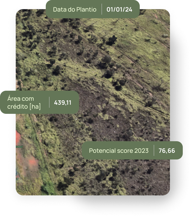 Diagnóstico territorial